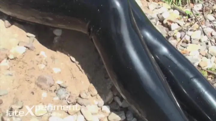 Latexperiment 2010-08-08 – Alexandra Corneille