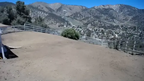 Bondagelife 1 yard maintenance dirt 0001