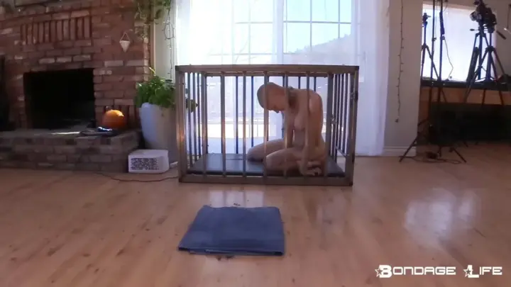 Bondagelife 1 bm headshave2 0001