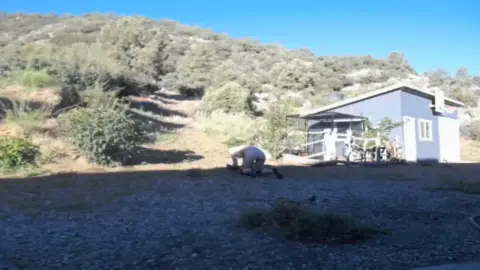 Bondagelife 1 livecam 07-13-2019 weed pulling