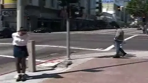 TranniesInTrouble Sunset Vine Outdoor