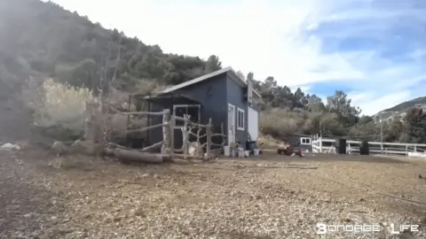 Bondagelife 1 yardworkwithgreyhound 0001