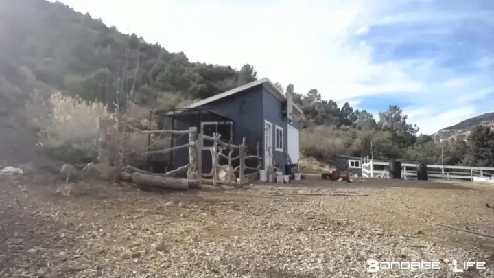 Bondagelife 1 yardworkwithgreyhound 0001