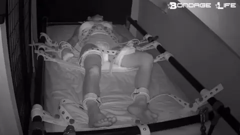 Bondagelife 1 segufix nap diaper 0001