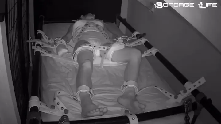 Bondagelife 1 segufix nap diaper 0001