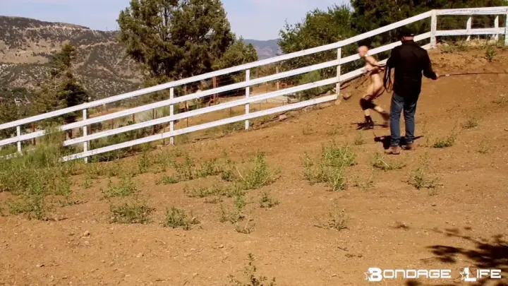 Bondagelife 1 bm pony 0001