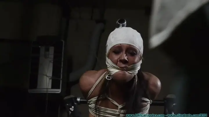 Futile Struggles FutileStruggles Dr Cupcakes Gets A New Assistant-Part 2 XXX 720p WMV-hUSHhUSH