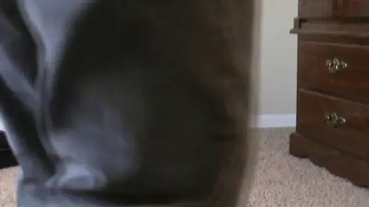 badmanvideos NAUGHTYHannahDetective 4
