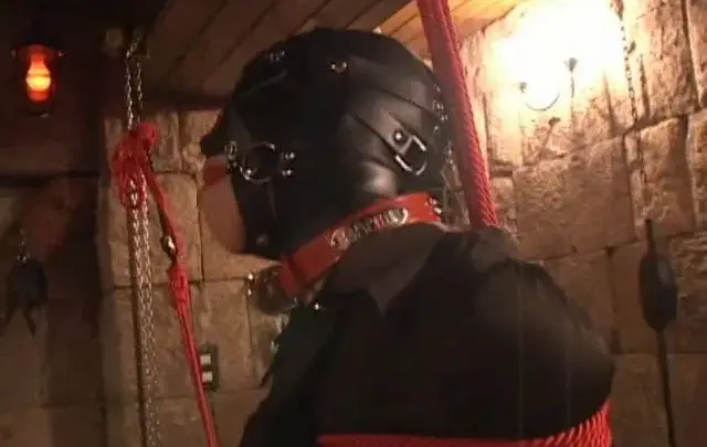 Wasteland 16-0305 1-WL