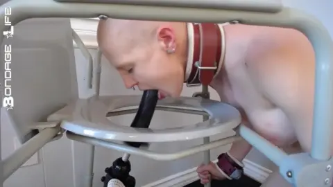 Bondagelife 1 dildo training fucking machine 0001