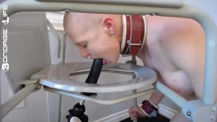 Bondagelife 1 dildo training fucking machine 0001