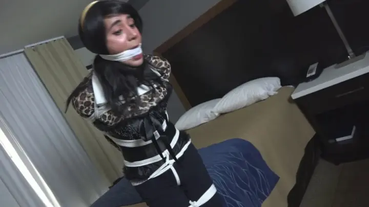 TranniesInTrouble danimlove motel thief lrg