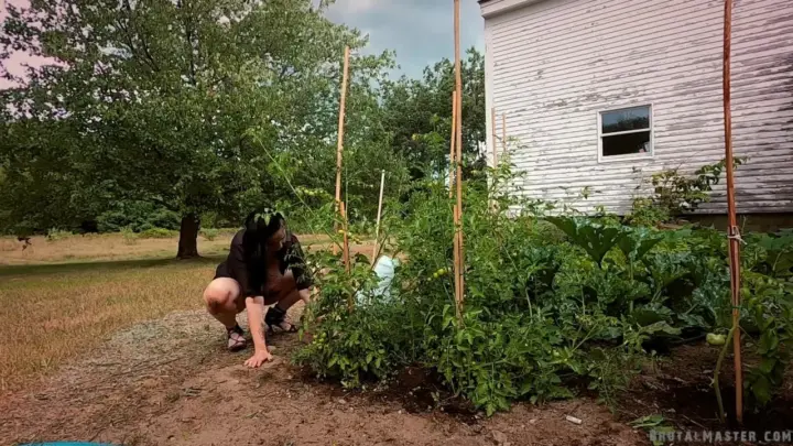 BrutalMaster BM Filth – Garden Pig