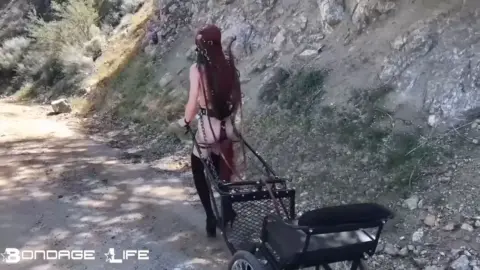 Bondagelife 1 pony cart walk 0001
